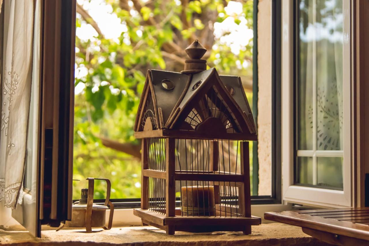 Traditional Guesthouses Xenofon Drymon 外观 照片